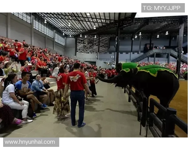 太阳神与仁川大象的巅峰对决谁能笑到最后的精彩赛事分析