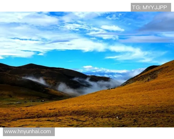 崔永熙的艺术之路与人生哲学探讨:从初心到成就的心灵旅程 崔永熙的艺术之路与人生哲学探讨:从初心到成就的心灵旅程