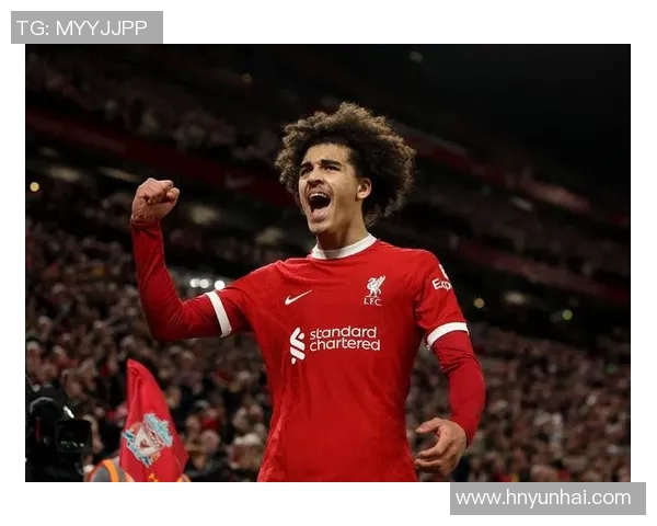 弗拉门戈与利物浦比赛直播地址及观看方式详解