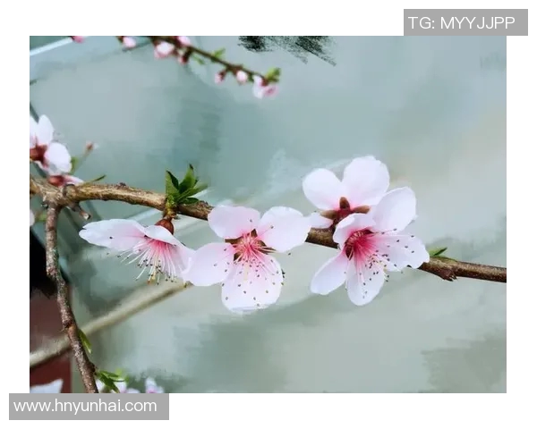 李泓澎的成长之路与音乐梦想的追逐与坚持