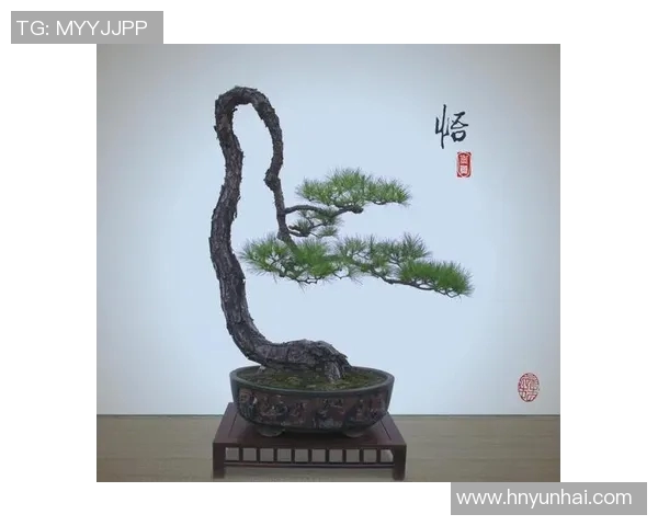 探索弗格的魅力与影响力揭示其在现代文化中的独特地位与价值