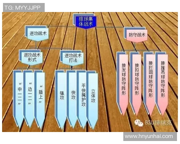 重庆排球队中路突破战术解析与实战应用探讨